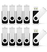 RAOYI 10 Pack USB Flash Drive 1GB USB 2.0 Thumb Drive Swivel Design 1G USB Stick Pen Drive Bulk M...