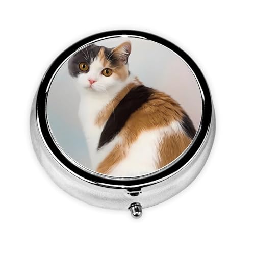  P[X Aj ~j{bNX   P[X L ˂ (2) ۂ ̈Â̂߂ r^~Tvg lbNX R lW [P[X