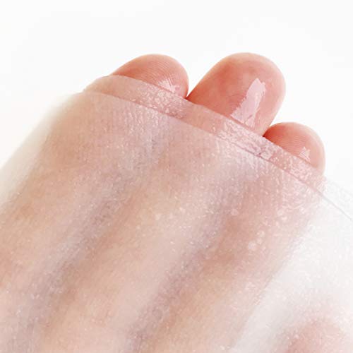 image for Patchology 