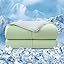 10-green Comforter
