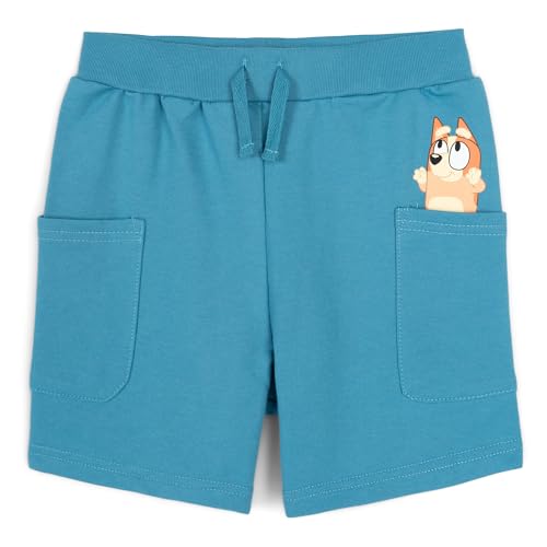 Image of Bluey Drop Shoulder T-Shirt and Shorts Outfit Set Toddler to Big Kid Sizes (2T - 10-12)