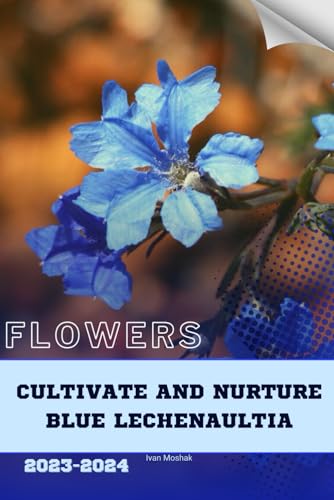 Cultivate and Nurture Blue Lechenaultia: Become flowers expert