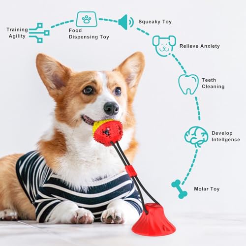 Jenilily Dog Toys Chew for Aggressive Chewers Rope Ball Suction Cup Puppy Training Tug of War Puzzle Toy Treats Toothbrush Boredom Pet Food Dispensing Features  Cucciolini Doodles Jenilily dog toys chew for aggressive chewers rope ball suction cup puppy training tug of war puzzle toy treats toothbrush boredom pet food dispensing features   cucciolini doodles