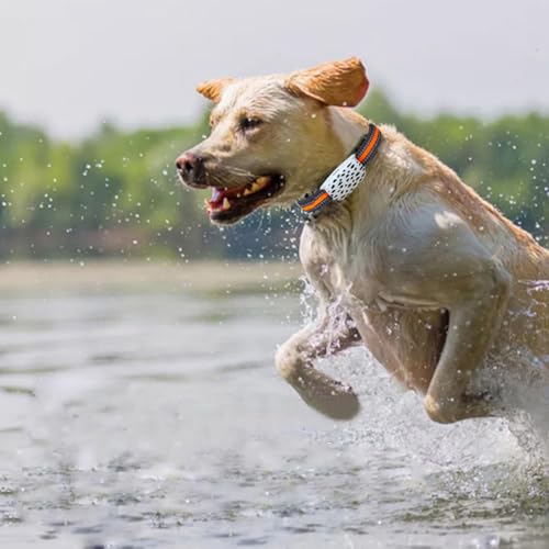GPS-Standortnavigation für Hunde- und Katzenhalsband, kabellose Fernbedienung, für kleine und mittelgroße Hunde