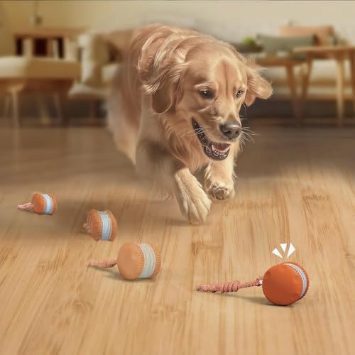Balle pour chat contre l'ennui activité de jeu interactive - 7
