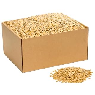 Blé entier pour poules et volailles, sac de 5 kg de grains
