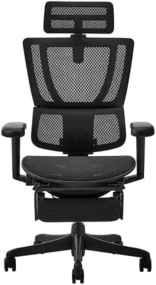 エルゴヒューマン FIT2 Lite
