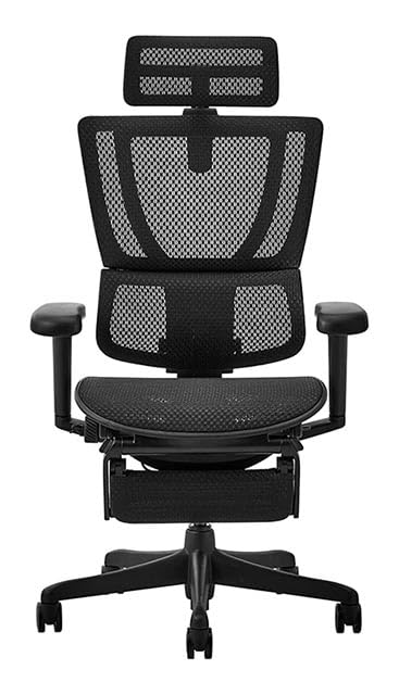 Ergohuman FIT2 Lite Limited