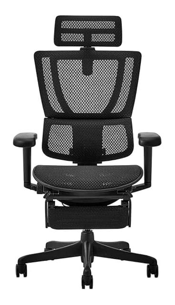 エルゴヒューマン フィット2ヘッドレスト付　【美中古品】 エルゴヒューマン ( 新基盤 ) フィット2 ergohuman fit2