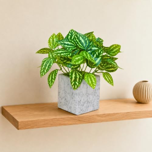 Image of fancymart Artificial Plant with Real-Touch Leaves in Pot, 25 cm, Indoor Tabletop Item for Home Decor, Office, Living Room