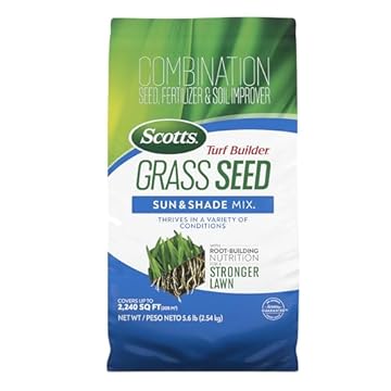 best grass for sun and heat