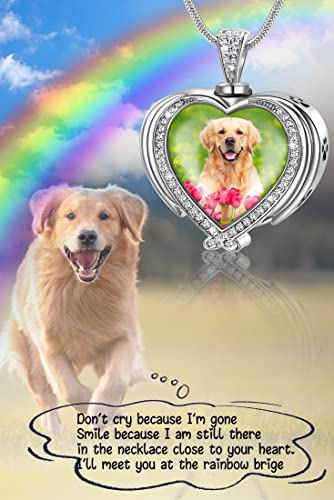 Fanery Sue Rainbow Bridge Pet Ashes Necklace Personalized Picture Memorial Quote For Your Lost Loved Dog Ashes Necklace -In Loving Memory Sympathy Cat Dog Urn Necklace Gifts (Sliver Angel Wing) #TOP1