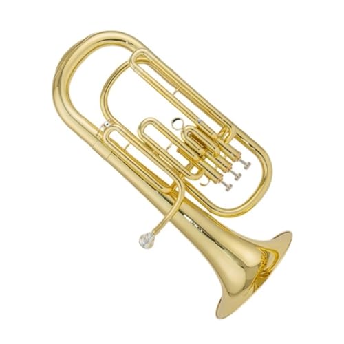 ṽI[PXgt̂߂̎O][tHjAB Sҗp[tHjA