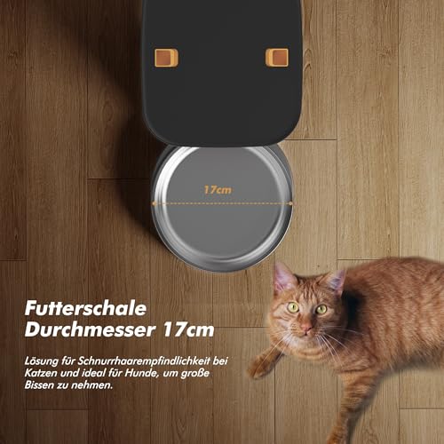 Futterautomat Katze 8L - Verstopfungsfrei Futterautomat Hund, Katzenfutter Automat mit Timer, 1–6 Mahlzeiten/Tag, 1–50 Portionen, Edelstahl-Schüssel, 10s Sprachaufnahme, Frischhalte-System