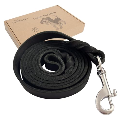 Guiding Star 6ft Stainless Steel Leash