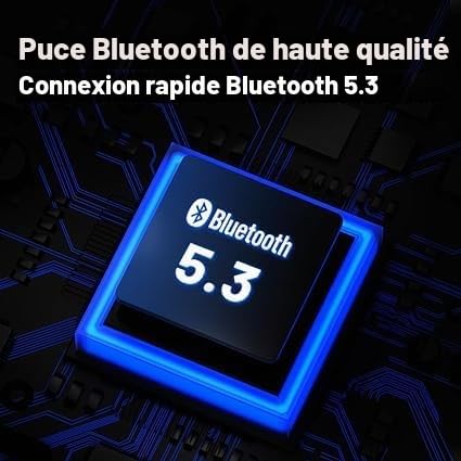 Fanmusic TRN BT20 Pro True Wireless Bluetooth 5.3 Casque-Module, connecteurs remplaçables (casque non inclus) (2 pôles, 0,78 mm)