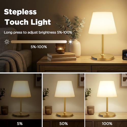 Image of 2 Pack Shower Lamp Waterproof, 6000mAh & 3 Color Temps and Stepless Dimming
