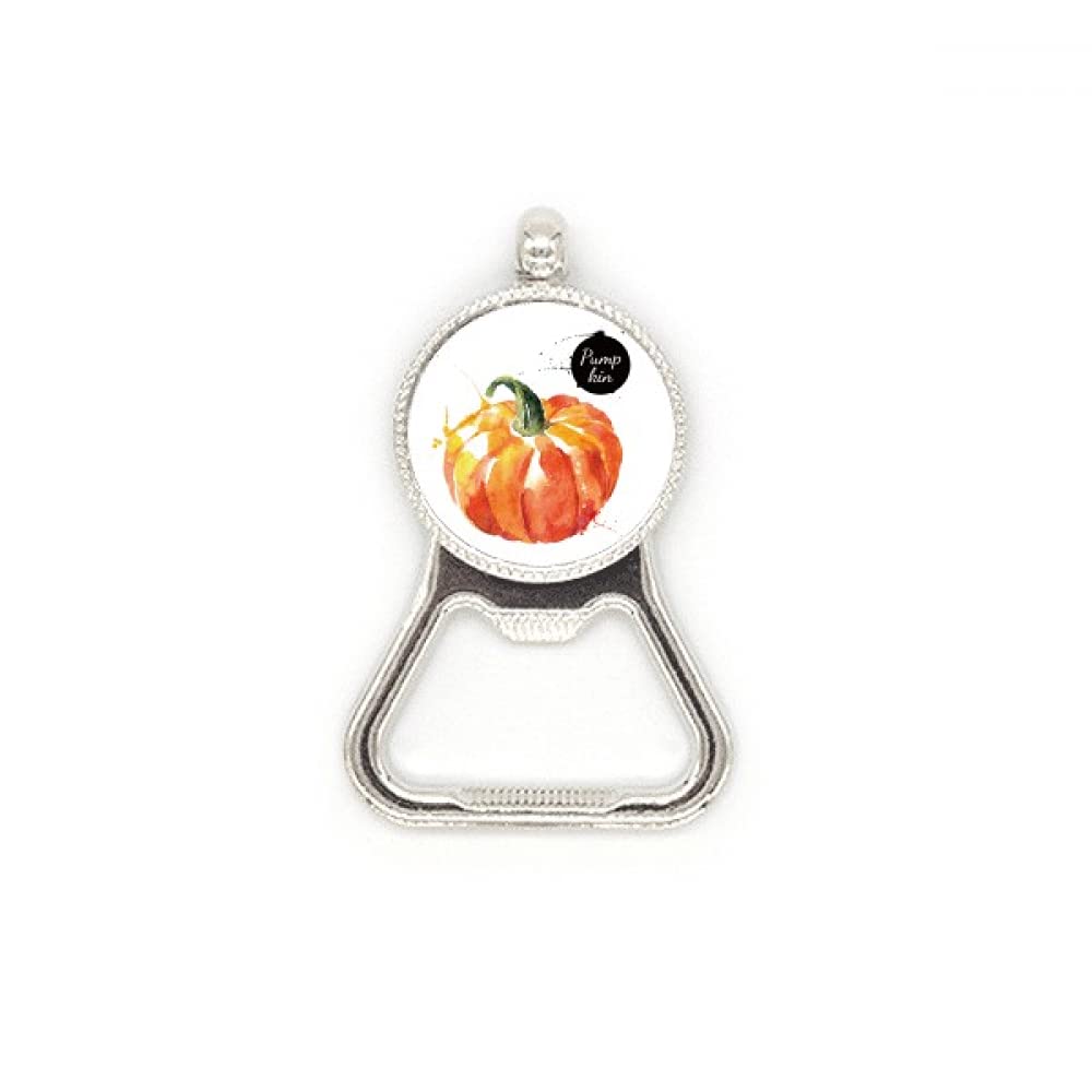 Décapsuleur en acier inoxydable légumes citrouille idée cadeau originale originale