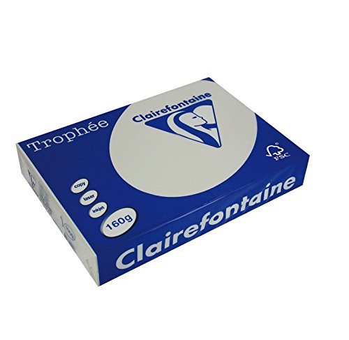 Trophée 4 Packungen à 250 Blatt Papier, 160 g, A4, 210 x 297 mm, FSC-zertifiziert, Grau