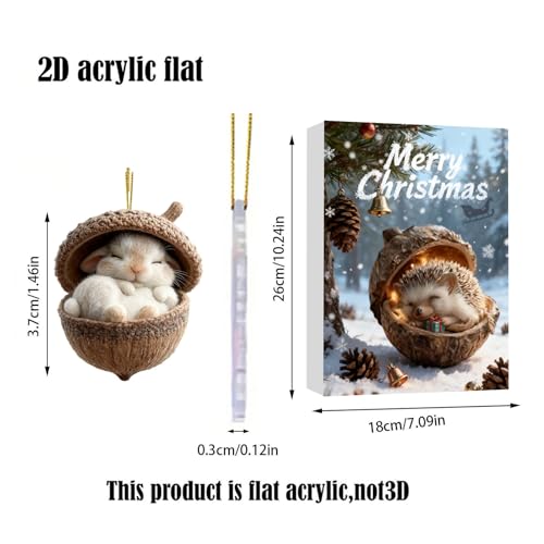 Calendrier de l'Avent de Noël : Décoration Acrylique 2D Prête à Poser - 5