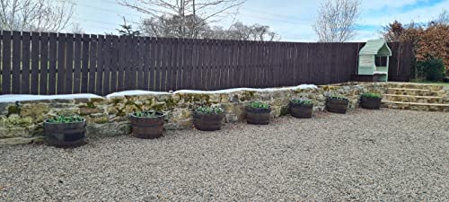Cheeky Chicks Large Recycled Solid Oak Whisky Cask Rustic Planter For Garden - 3