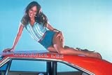 Shine On Catherine Bach - 24X36 Poster SOG #SOG82121