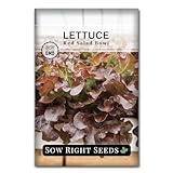 Sow Right Seeds - Red Salad Bowl Lettuce Seeds for Planting - Non-GMO Heirloom Packet with Instructions to Plant a Home Vegetable Garden - Outdoors or Hydroponics Indoors - Frilly and Tasty (1)