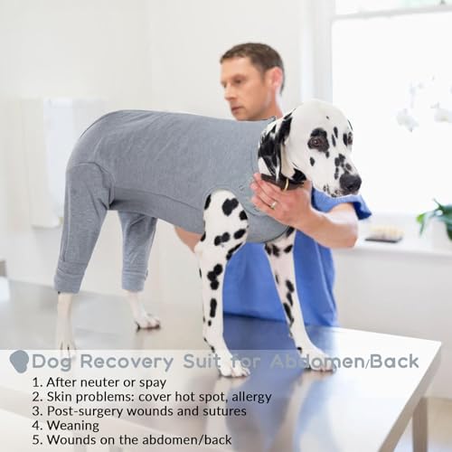 PUMYPOREITY Erholungsanzug Hund, Body Hunde Nach Op Rüde Bandage Hund Hinterbein Postoperative Kleidung Wundschutzanzug Nach Op Hose Hund Hinterbein(Grau, 2XL)
