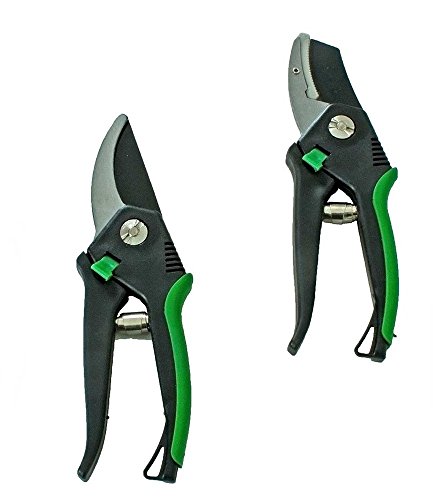 BALDUR-Garten GmbH Jardín Tijeras, 2 Unidades