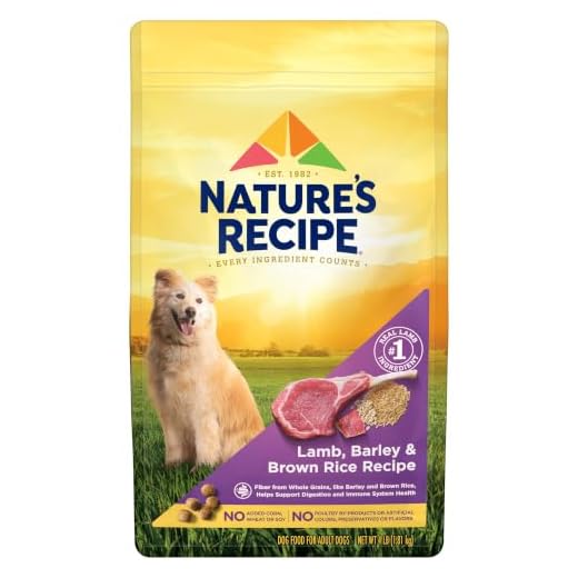 Nature's Recipe Lamb, Barley & Brown Rice Recipe Dry Dog Food, 4 lb. Bag