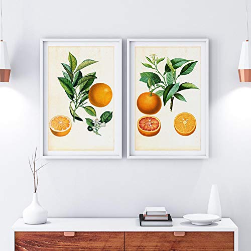 Peinture orange citrus déco cuisine : lot de 2 affiches vintage de fruits botaniques 70x100cm
