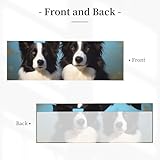Zoom IMG-1 fhedvbn border collie tenda mantovana