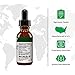 NutraMedix RelaxMedix Drops - Rest and Relaxation Support Supplement with Samento Cat's Claw and Valerian Root Extract - Tincture for Unwinding and Immune System Support (1oz / 30ml)