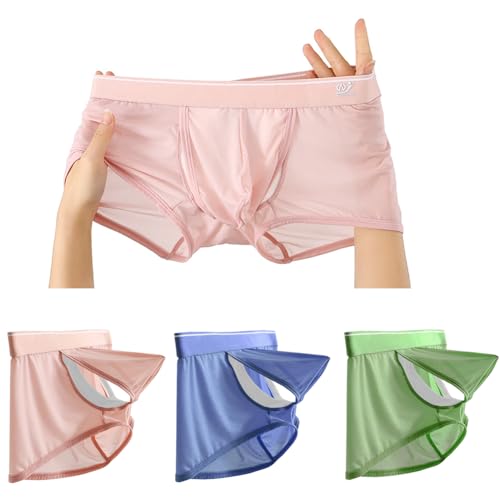 Men's Fly Pouch Underwear Breatable Boxer Briefs Separated Pouch Mesh See-through Trunks - Main Image