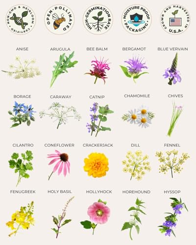 Tactiko Survival 40 Medicinal & Tea Herb Seeds Variety Pack, Indoor & Outdoor Herbal Garden Kit, USA Grown Heirloom Non-GMO, Herbal Seeds for Teas, Resealable Mylar Bag for Long-Term Storage - Image 4