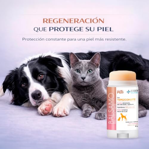 Reviews de El perro consentido los 5 más buscados. 13 Imagen adicional