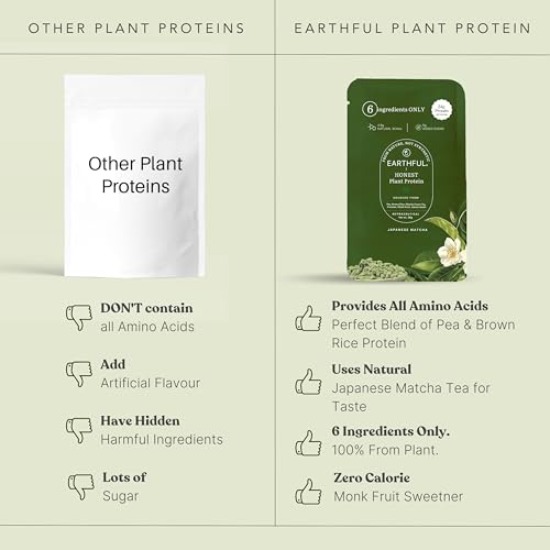 Image of Earthful Honest Plant Protein | 24g Protein /Serving & 4.9g BCCAs | For Weight Management, Energy, Muscle Support & Recovery | Made with Pea & Brown Rice | Japanese Matcha - Six Sachets