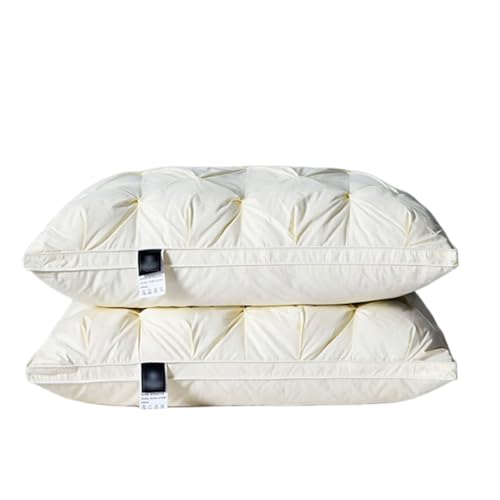 Oreiller en duvet d'oie blanche (lot de 2) taille standard lavable