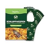 Legona® - Schlupfwespen gegen Lebensmittelmotten / 6X Trigram-Karte à 3 Lieferungen/Biologische & Nachhaltige Bekämpfung von Motten in Lebensmitteln/Alternative zu Mottenspray und Mottenkugeln