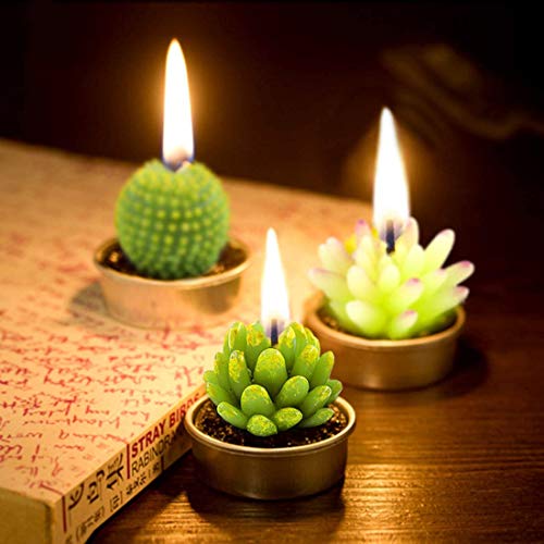 12 Pieces Cactus Tealight Candles Handmade Delicate Succulent Cactus Candles For Party Wedding Spa Home Decoration Gifts #TOP2