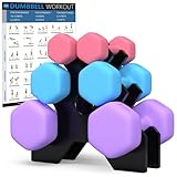 GYMSTR Hex Dumbbells Set with Rack,1KG 2KG 3KG Hand Weights Dumbbell Pair for Women Men,12KG Anti-Roll Hex Design for Home Gym Strength Training Fitness Equipment