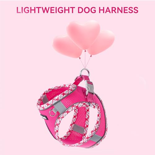 Image of Petank Dog Harness for Small Medium Dogs No Pull, Puppy Harness and Leash Set for Walking, Running, Training, Small Dog Harness, Medium Dog Harness (Yellow, S)