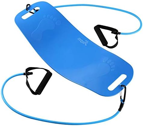 Twisting Fitness Balance Board Simple Core Workout for Abdominal Muscles