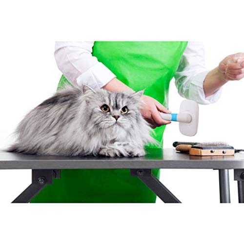 Blinkeen Dog Brush & Cat Brush For Shedding And Grooming,Pet Slicker Brush For Dogs & Cats With Long Or Short Hair #TOP6