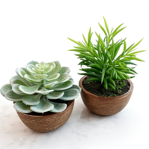VINSUNI Realistic Flocked Texture Succulents