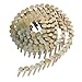 raseparter 7200 Roofing Nails Wire Finishing Coils 1-1/4 inch Smooth Handle 15 degrees Electric Galvanized