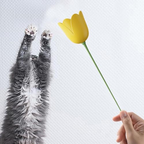 Jouet interactif électrique pour chaton idéal au salon la journée