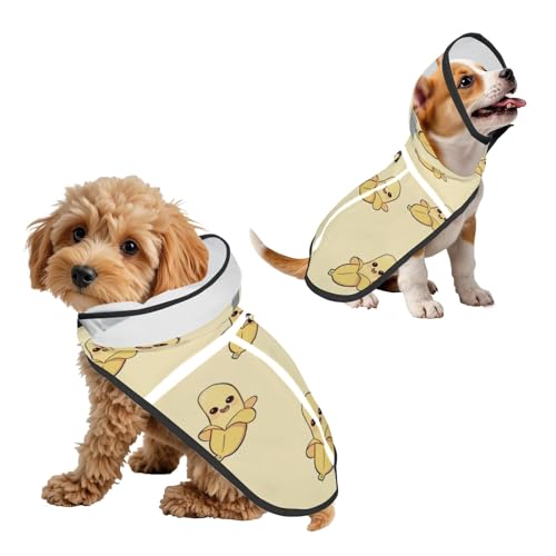 t[c pCR[g 6 TCY ő 10kg Ή ̃tN^[t iIfW^vg hJ?