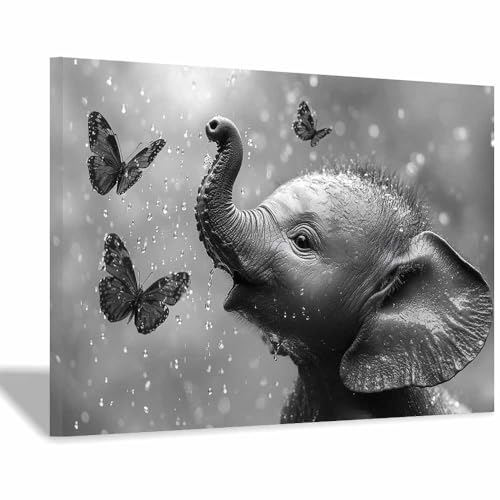 Poster Éléphant Papillon Noir Blanc Toile Décoration Murale Salon Chambre 60x90