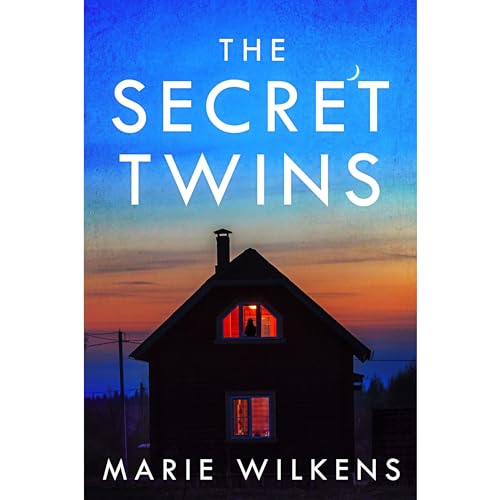 The Secret Twins A Riveting Small Town Kidnapping Mystery